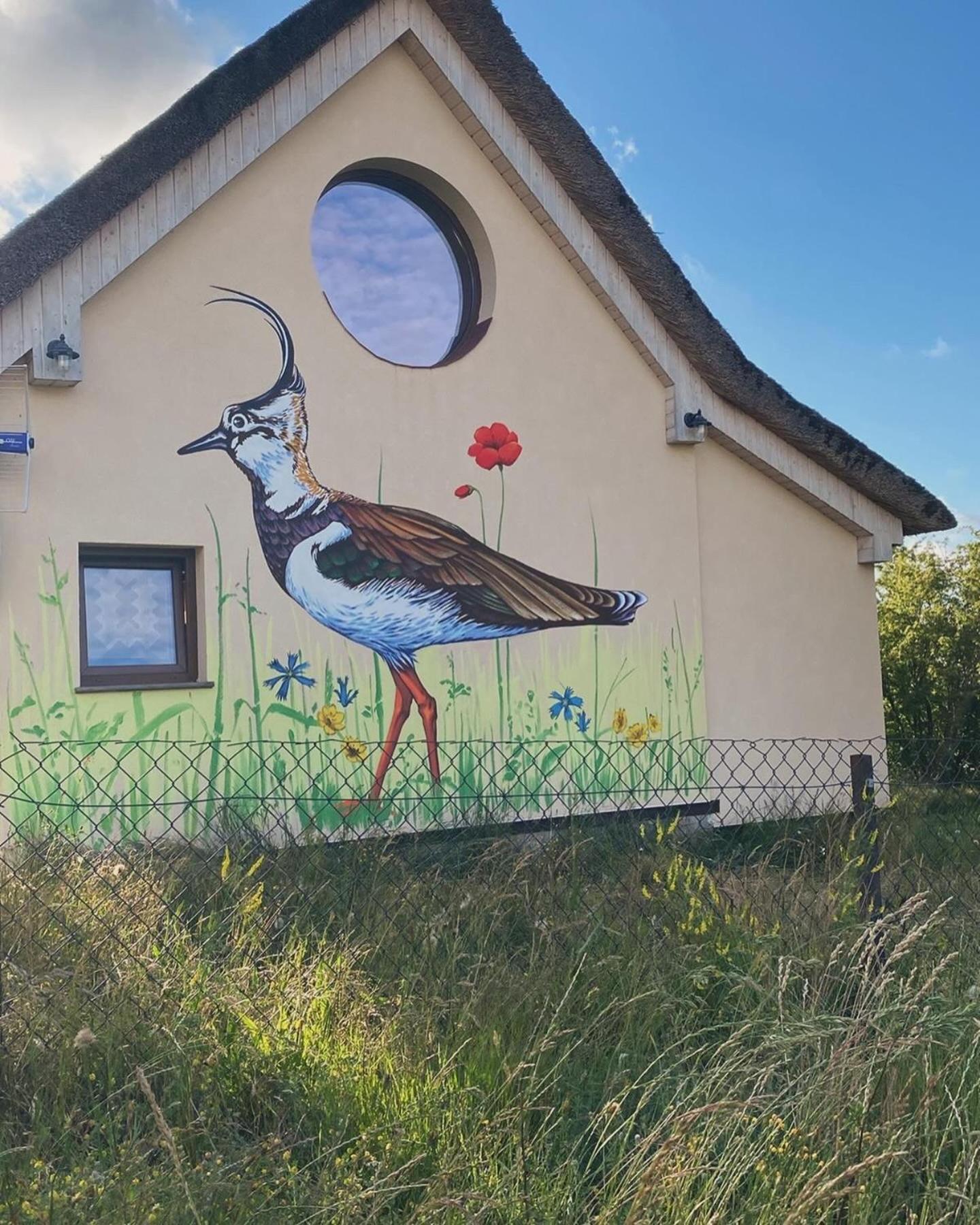 Ptasia Osada Gardna Wielka Buitenkant foto